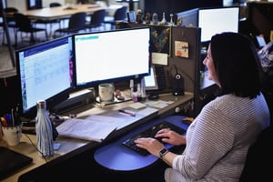 Remote Positions at Skyline Exhibits